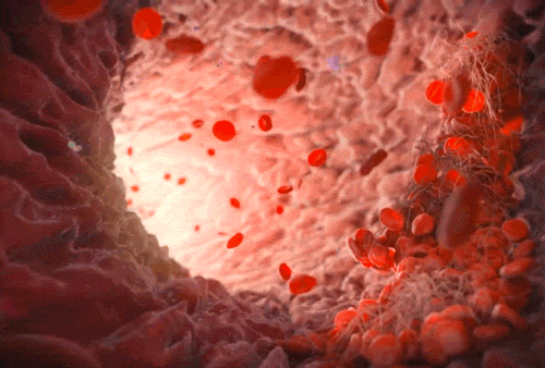 7 alternative ways to release fatigue and muscle pains-blood-flow-gif Blood Flow